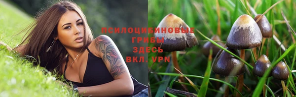 мяу мяу мука Богородск