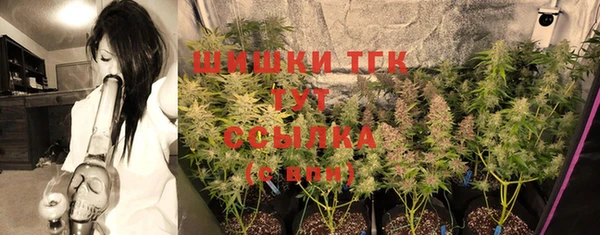 шишки Богородицк