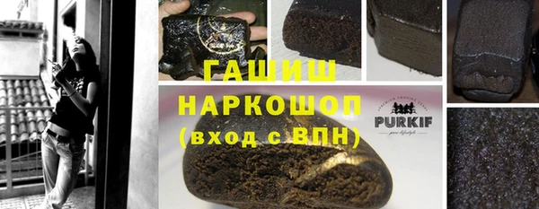 шишки Богородицк