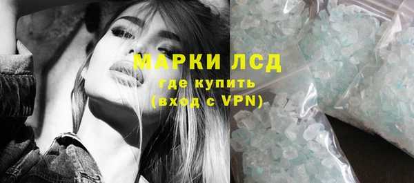 шишки Богородицк