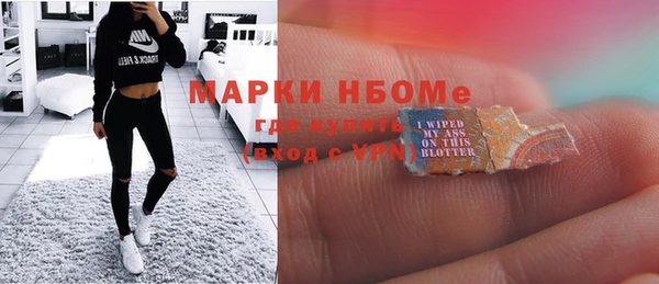 шишки Богородицк