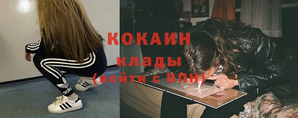 шишки Богородицк