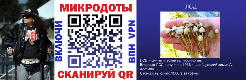 Галлюциногенные грибы мухоморы  Пойковский 